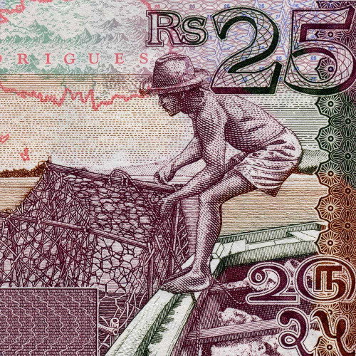 25 рупий 2003 года - Маврикий (Pick 49) aUNC