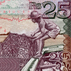 25 рупий 2003 года - Маврикий (Pick 49) aUNC
