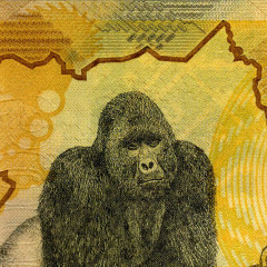 50000 шиллингов 2015 года - Уганда (Pick 54) UNC