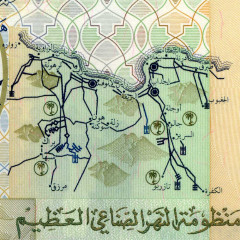 20 динаров 2009 года - Ливия (Pick 74) UNC