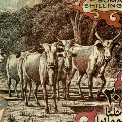 20 шиллингов 1983-1989 гг - Сомали (Pick 33) F-VF
