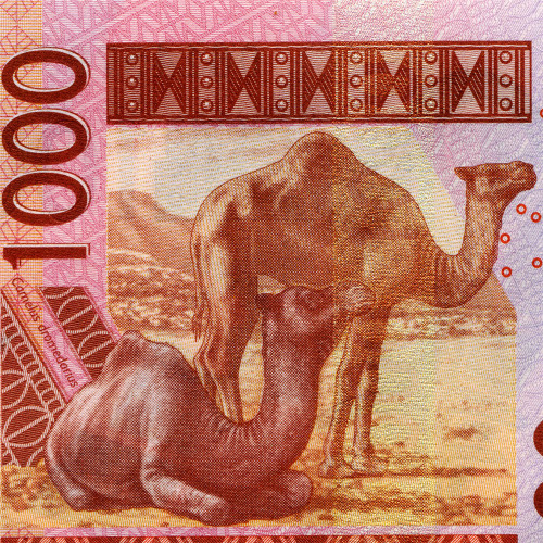 1000 франков 2003-2005 гг - Бенин (Pick 215B) UNC
