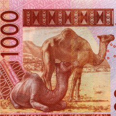 1000 франков 2003-2005 гг - Бенин (Pick 215B) UNC