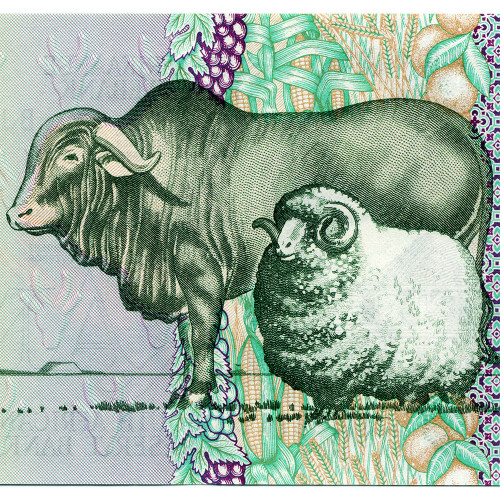 10 рэндов 1985-1990 гг - ЮАР (Pick 120.d) UNC