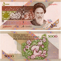5000 риалов 1993 года - Иран (Pick# 145) UNC