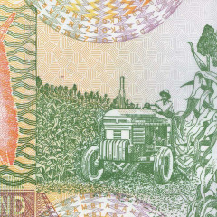 1000 квача 2009 года - Замбия UNC