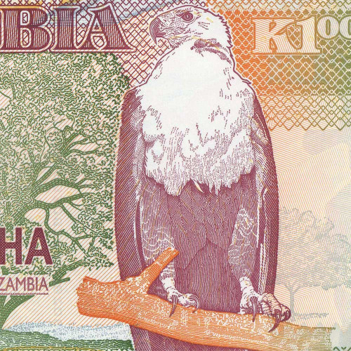 1000 квача 2009 года - Замбия UNC