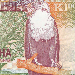 1000 квача 2009 года - Замбия UNC