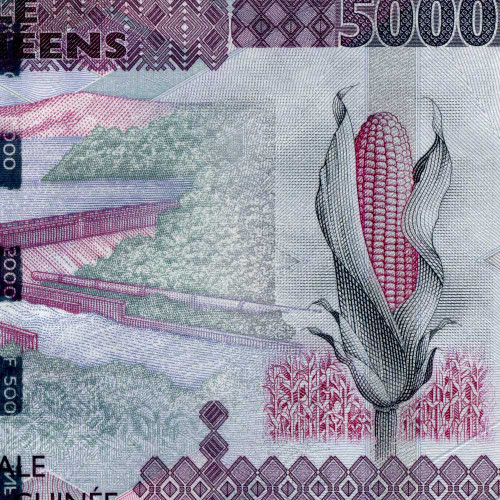 5000 франков 2019 года - Гвинея (Pick 49) UNC