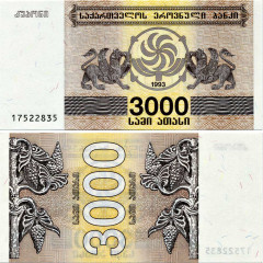 3000 купонов (лари) 1993 года - Грузия (Pick 45) - aUNC
