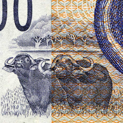 100 рэндов 2005 года - ЮАР (Pick 131a) F-VF