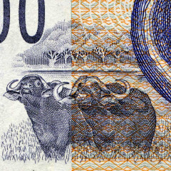 100 рэндов 2005 года - ЮАР (Pick 131a) F-VF