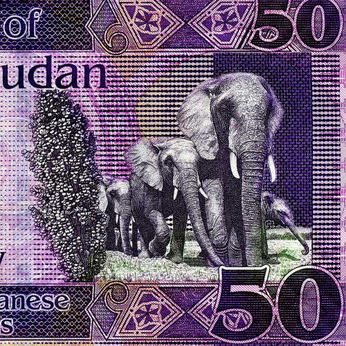 50 фунтов 2017 года - Южный Судан UNC