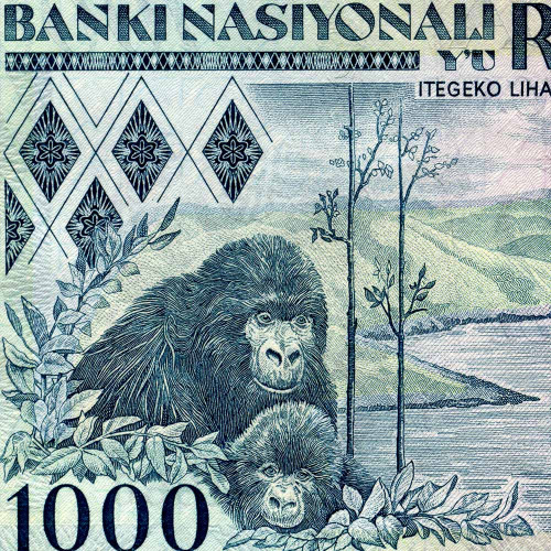 1000 франков 1988 года - Руанда (Pick 21) UNC