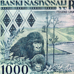 1000 франков 1988 года - Руанда (Pick 21) UNC