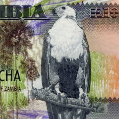 100 квача 2006 года - Замбия (Pick 38f) UNC