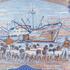 500 шиллингов 2016 года - Сомалиленд (Pick 6) UNC