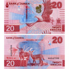 20 квача 2024 (2025) года - Замбия (Pick W63) UNC