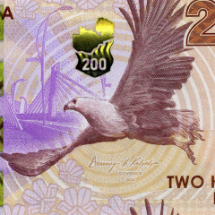 200 квача 2024 (2025) года - Замбия (Pick W66) UNC