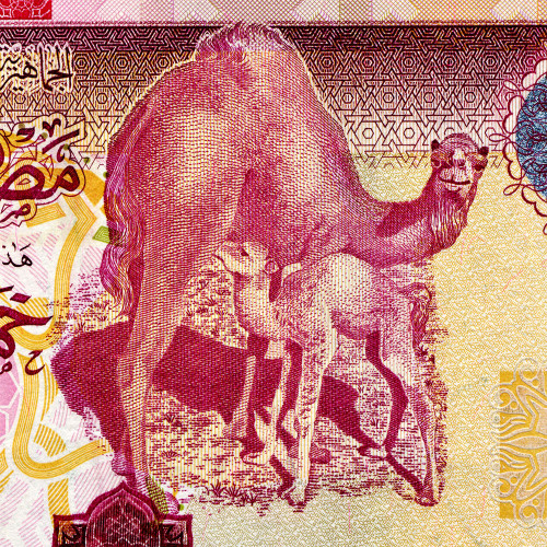 5 динаров 2011 года - Ливия (Pick 72) UNC