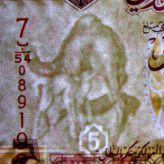 5 динаров 2011 года - Ливия (Pick 72) UNC