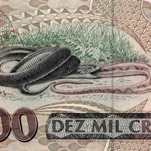 10000 крузейро 1993 года - Бразилия (Pick 233с) UNC