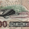 10000 крузейро 1993 года - Бразилия (Pick 233с) UNC