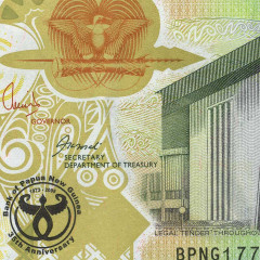 100 кина 2008 года - 35 лет Банку - Папуа - Новая Гвинея (Pick # 37) UNC