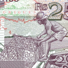 25 рупий 2021 года (пластиковая) - Маврикий (Pick 64) UNC