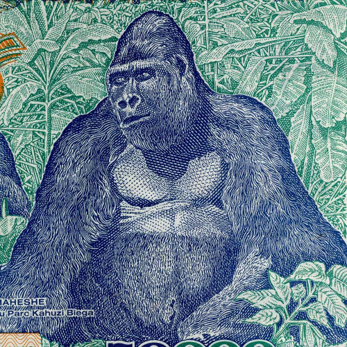 50000 заиров 1991 года - Заир (Pick 40) F-VF