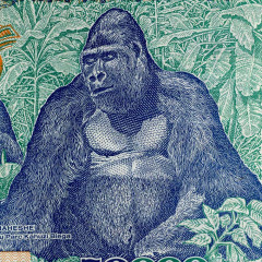 50000 заиров 1991 года - Заир (Pick 40) F-VF