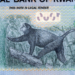 1000 франков 2019 года - Руанда (Pick W43) UNC
