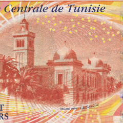 20 динаров 2011 года - Тунис (Pick 93.b) F-VF