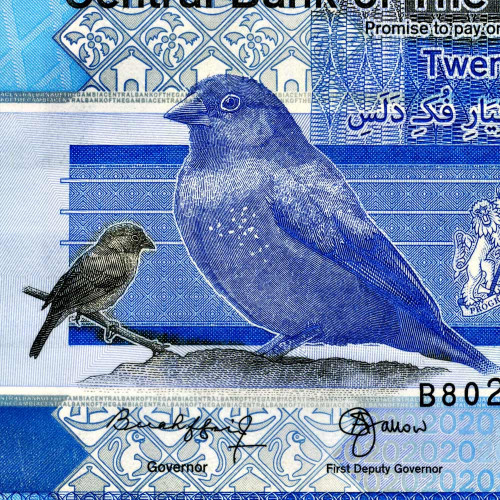 20 даласи 2023 года - Гамбия (Pick W39) UNC