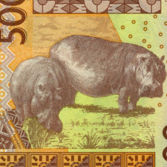 500 франков 2012 года - Сенегал UNC
