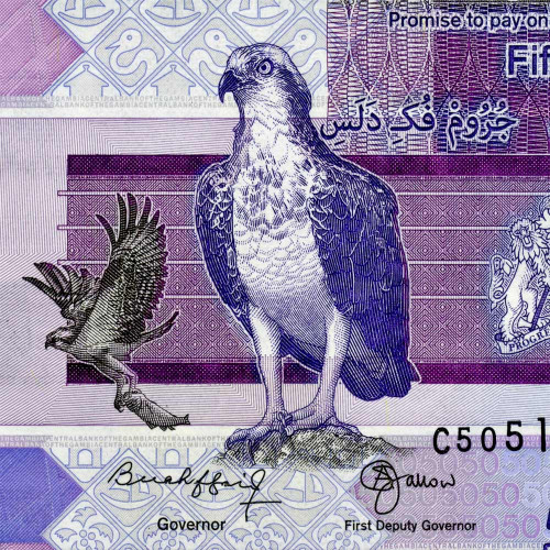 50 даласи 2023 года - Гамбия (Pick W40) UNC