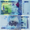 2000 шиллингов 2025 года - Уганда (Pick 50) UNC