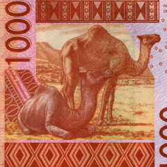 1000 франков 2003-2007 гг - Сенегал (Pick 715K) UNC