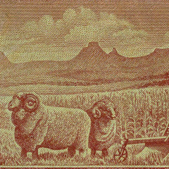 1 рэнд 1973-1975 гг - ЮАР (Pick 116) XF