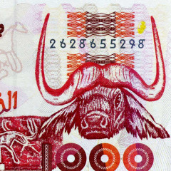 1000 динаров 1998 года - Алжир (Pick 142) UNC