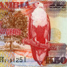 50 квача 2008 года - Замбия (Pick 37g) UNC