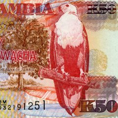 50 квача 2008 года - Замбия (Pick 37g) UNC