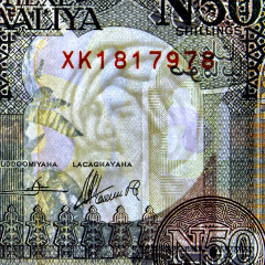 50 шиллингов 1991 года - Сомали (Pick R2) UNC