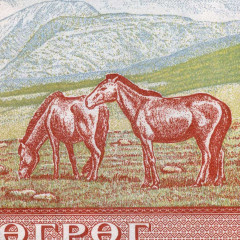 20 тугриков 2020 года - Монголия (Pick# 63) UNC