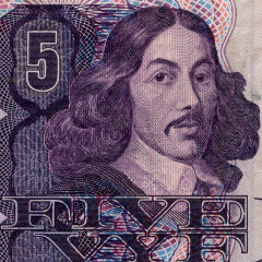 5 рэндов 1989 г - ЮАР (Pick# 119d) F-VF