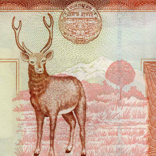 20 рупий 2002 года - Непал (Pick# 47.b) UNC